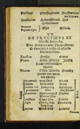 XV. De Frvctibvs et Mensis Secundis.