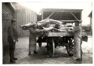 Fotos aus dem Kriegsgefangenenlager Puchheim: o.Nr.: Fleischanfuhr