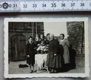 Fotografie, Ziebingen (Cybinka)
