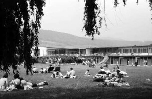 Bad Dürkheim: Liegewiese des Strandbades