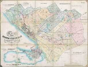 N° VII; Karte von der Dorffeldmark Hohen-Viecheln, Domanial Amts Mecklenburg Redentin