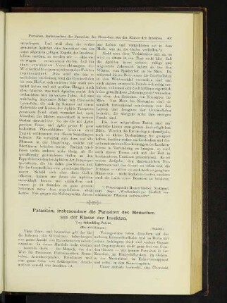 Parasiten, insbesondere die Parasiten des Menschen aus der Klasse der Insekten.