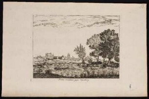 Poeten Wäldlein gegen Nürnberg. - Pegnitztal