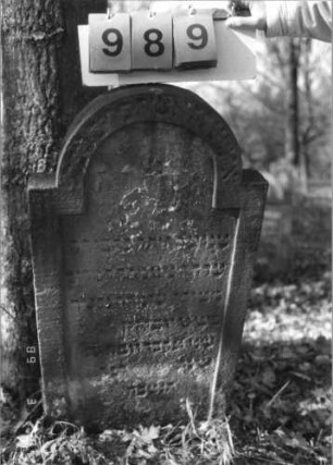 Grabstein 989 (Index: 99751360) Material: Sandstein Zustand: abgeblätt/verwitt/Textverlust Maße HxBxT: 98x52x8 cm Beschreibung: Stele, eingezog. Rundbogenabschl. , Schriftfeld eingetieft: Grabstein 989
