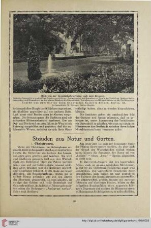 32: Stauden aus Natur und Garten