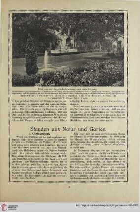 32: Stauden aus Natur und Garten