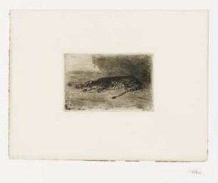 Tigre couché à l'Entrée de son Antre, aus: Loÿs Delteil, "Ingres et Delacroix", Paris 1908