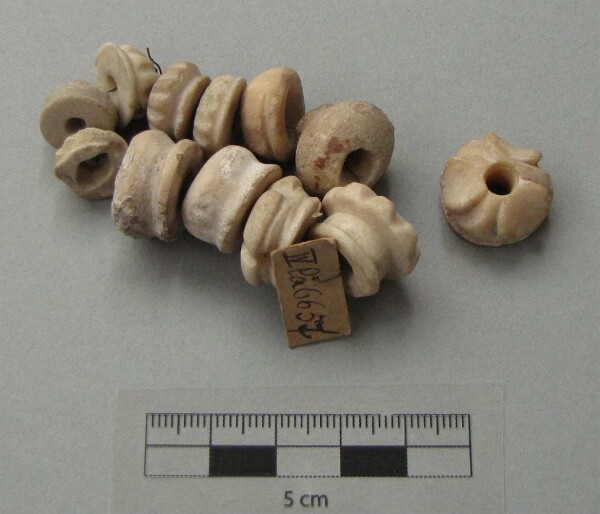 Shell beads