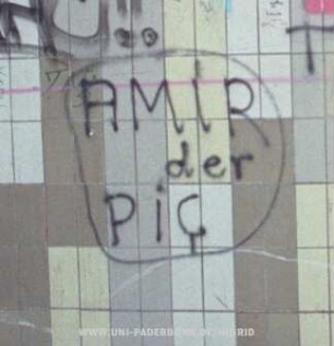 AMiR der PiC