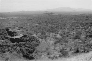 Im abessinischen Graben bei Metehara : Blick auf eine ebene Savannenlandschaft