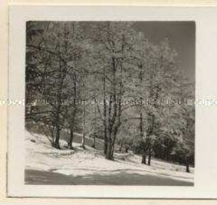 Bad Kohlgrub, Winter