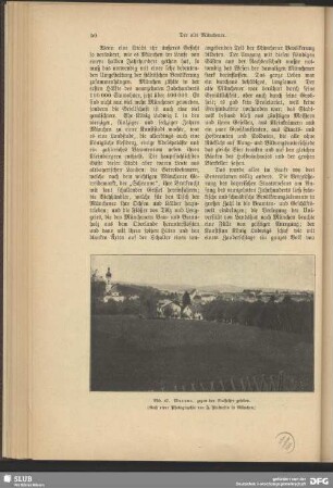 Murnau, gegen den Staffelsee gesehen