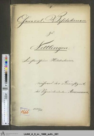 Nettlingen: Visitationsakten