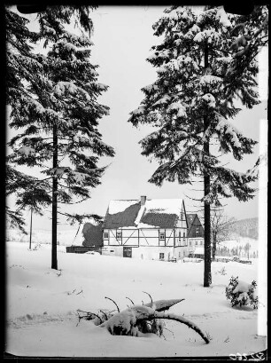 Bei Schellerhau, Waldrand