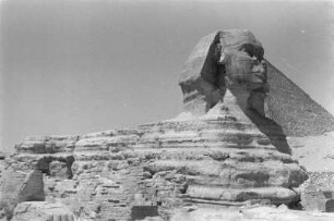 Große Sphinx von Gizeh : Die Große Sphinx von Gizeh.