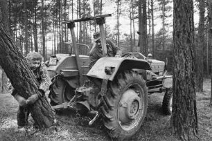 Erna und Otto Porath beim Transport eines Baumstamms mit dem Traktor, Schnackenburg