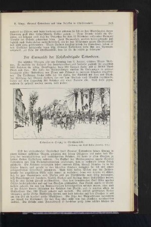 Tettenborns Einzug in Christiansfeld