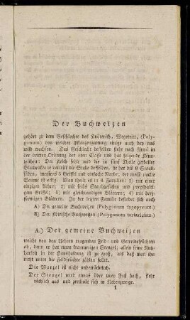 Der Buchweizen
