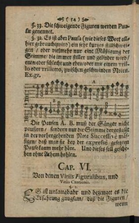 Cap. VI. Von denen Vitiis Figuralibus, und Vitiis Cantionis.
