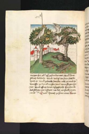 Der Berg mit dem Baum der Kolonie der Raben und dem Baum mit der Kolonie der Aaren; Aare greifen Raben an, tote Raben (Kapitel V: Von den Raben und den Aaren)