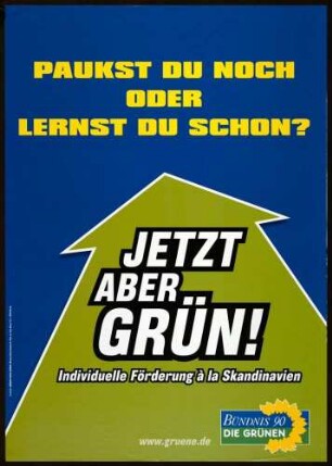 Bündnis 90/Die Grünen, Landtagswahl 2006