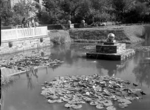 Sachsen? Parkanlage (Kurpark?). Blick über einen Seerosenteich (Teilansicht) mit Wasserspiel