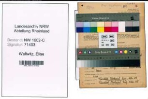 Entnazifizierung Elise Wallwitz, geb. 02.11.1909 ()