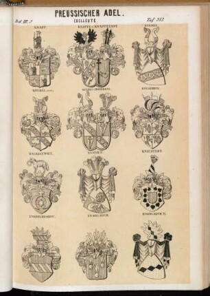 Taf. 253. Knapp. - Knappe v. Knappstadt. - Knebel. - Knebel (verm.). - Knebel v. Döberitz. - Knesebeck. - Kniazcewicz. - Knichen. - Kniestedt. - Knobelsdorff. - Knoblauch. - Knoblauch II.