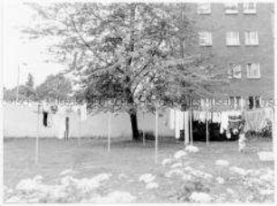 Serie: Mauerfall/Deutsche Einheit: Wäscheleine auf Hinterhof an der Berliner Mauer