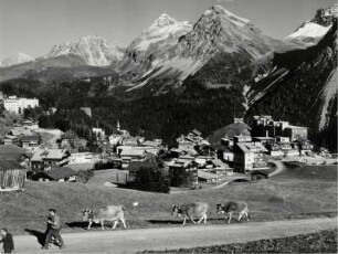 Blick auf Arosa