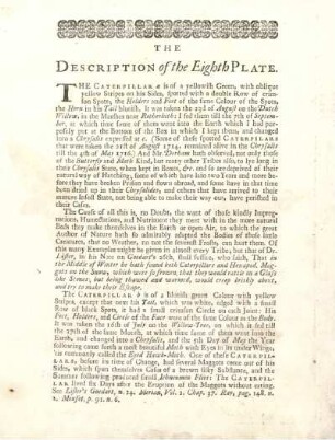 The Description of the Eighth Plate