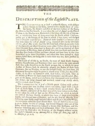 The Description of the Eighth Plate