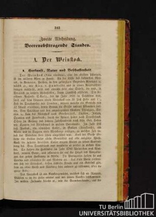 A. Der Weinstock.