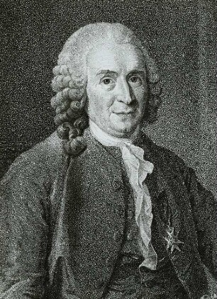 Bildnis Carl von Linné (Ausschnitt: Bruststück)