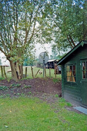 Sühlen: Zur Trave 16: Fachwerkkate mit Reetdach: Grundstück: Knick, alter Weidenbaum, rechts Gartenhaus [angeschnitten], Zaun: dahinter Weide, Schafe, Stall: August 1994