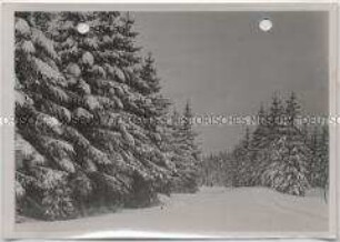 Winterlandschaft