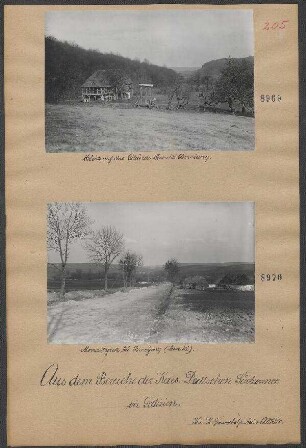 Monastryrek bei Brzezany (Lesniki)