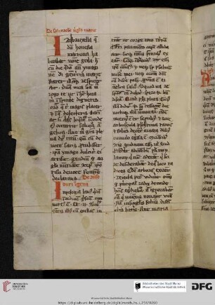 Collectio exemplorum; 55 Exampla, überwiegend aus Caesarius Heisterbacensis, Dialogus Miraculorum und Libri VIII Miraculorum