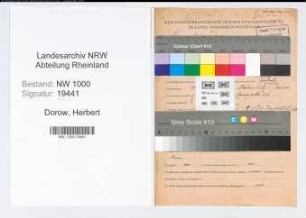 Entnazifizierung Herbert Dorow, geb. 30.08.1900 (Kaufm.Angest.)