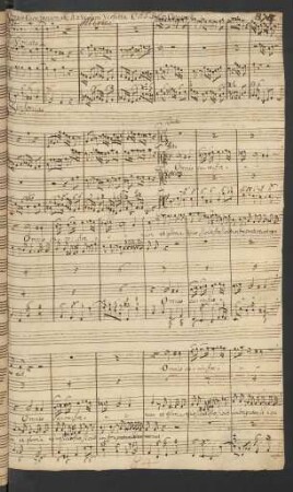 Omnis caro foenum; V (4), strings, org; d-Moll