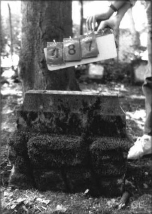 Grabstein 487
