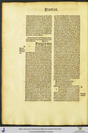 Pars VI.