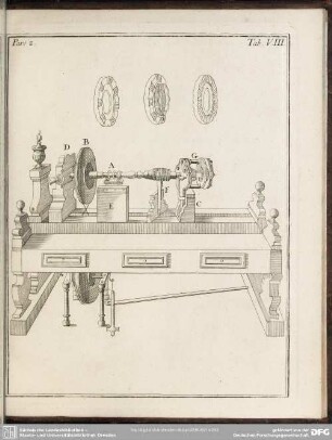 Pars. 2. Tab. VIII.