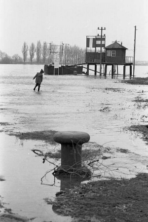 Rheinhochwasser.