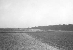 Alte Stranddünen, Pritter auf Wollin : Geographie | Morphologie des norddeutschen Tieflandes