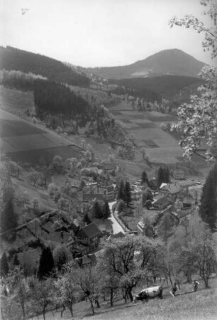 Bad Peterstal-Griesbach. Ortsteilansicht über das Renchtal nach Südwesten zum Fürstenkopf