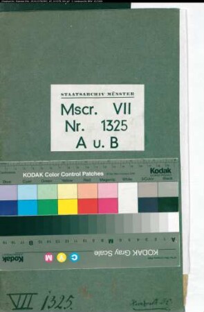 Abschriften von Urkunden über das Damenstift Metelen