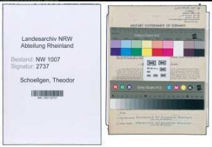 Entnazifizierung Theodor Schoellgen , geb. 10.08.1901 (Amtsrichter)