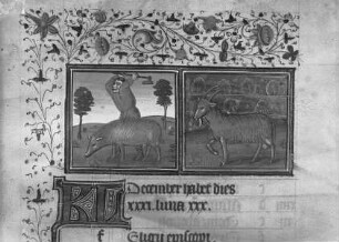 Stundenbuch Karls V. — Monatsblatt Dezember und Tierkreiszeichen Steinbock, Folio 204