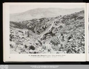 18. Westabfall des Libanon